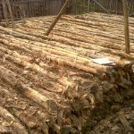 Jual Kayu Gelam